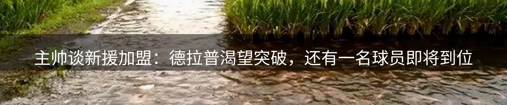 平台精选